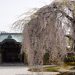 高台寺