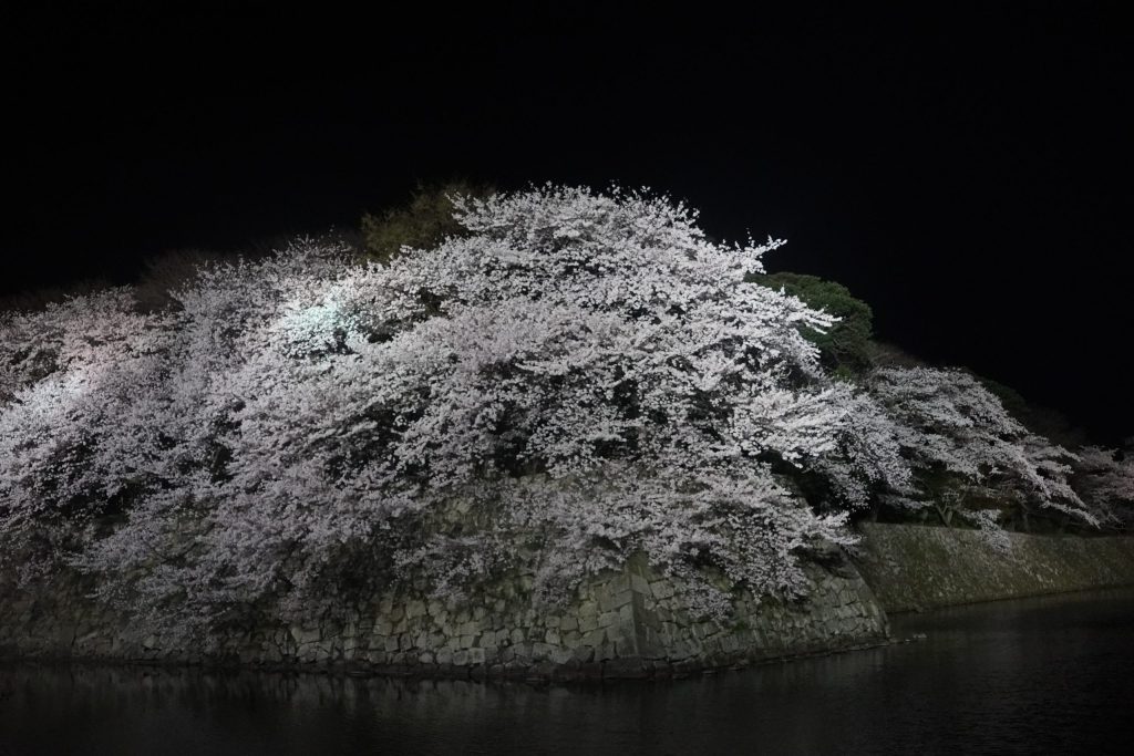滋賀