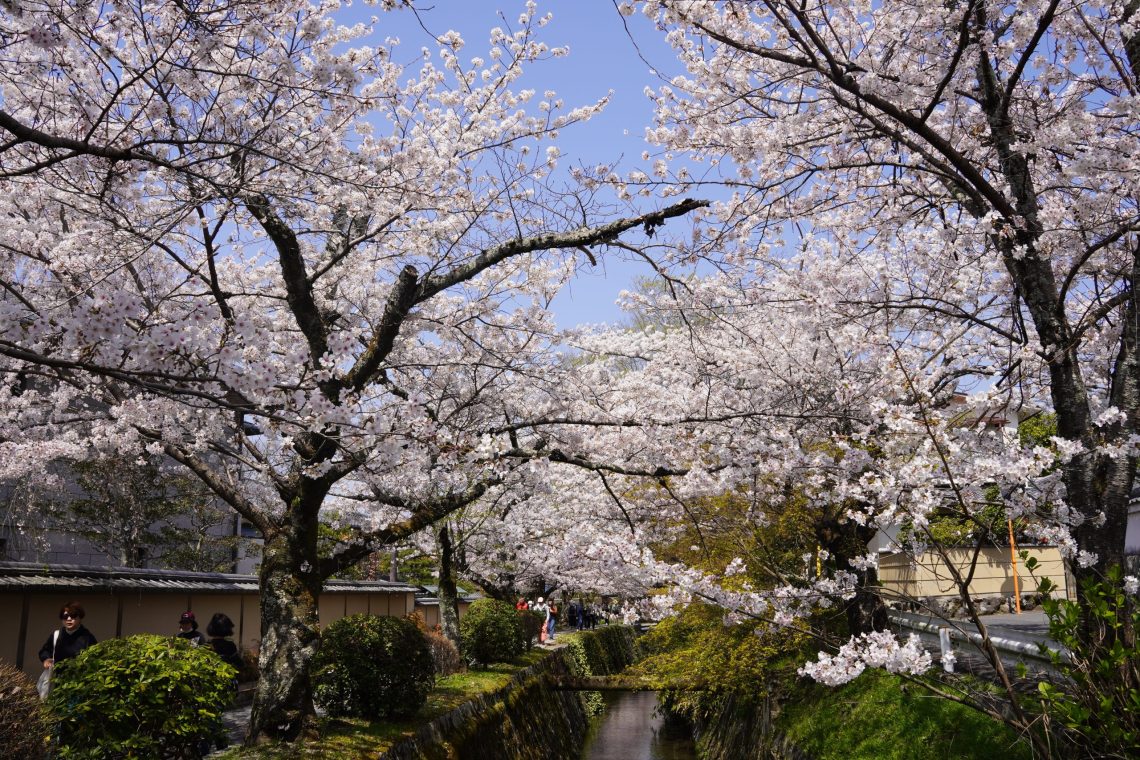 【京都必遊路線】哲學之道、南禪寺、銀閣寺一日散步提案 155 哲學之道