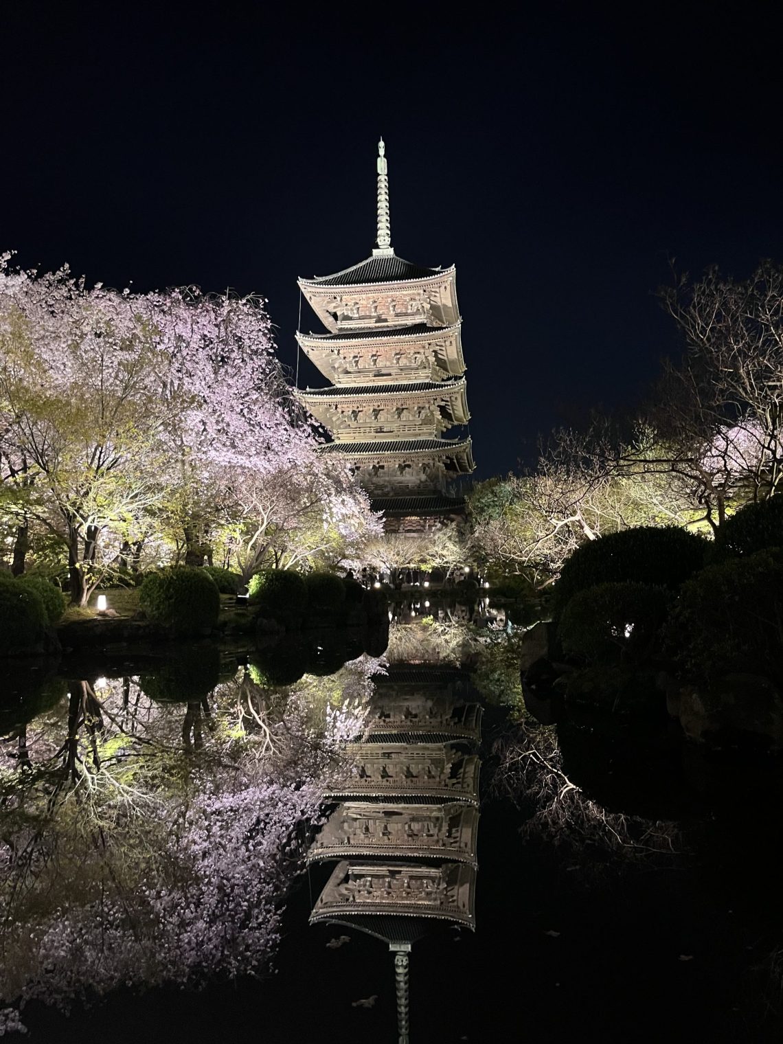 【京都夜櫻名所2025】世界遺產「東寺」賞花 + 交通攻略 80 IMG 9710 scaled
