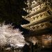 東寺