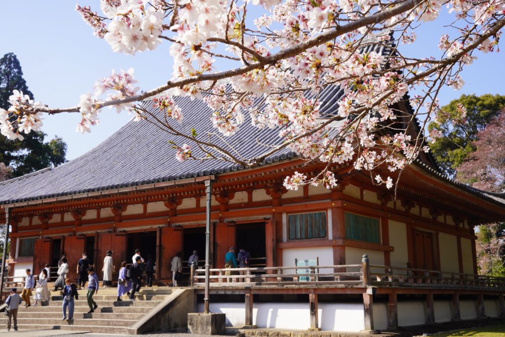 醍醐寺