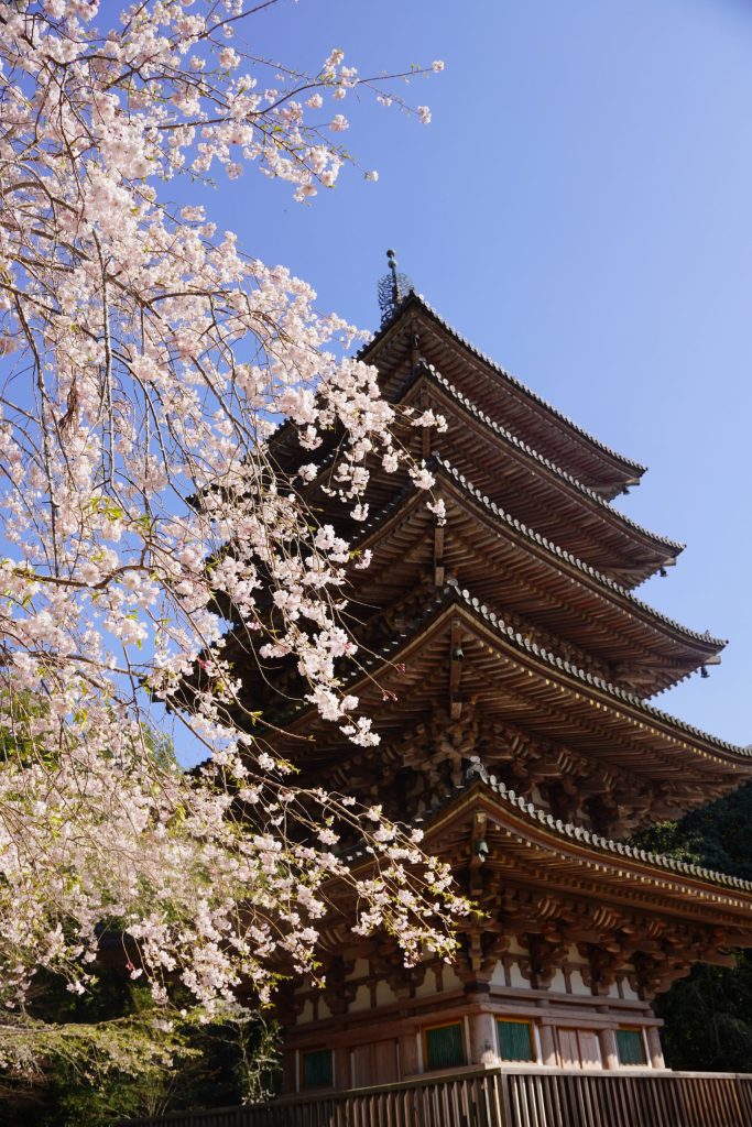 醍醐寺