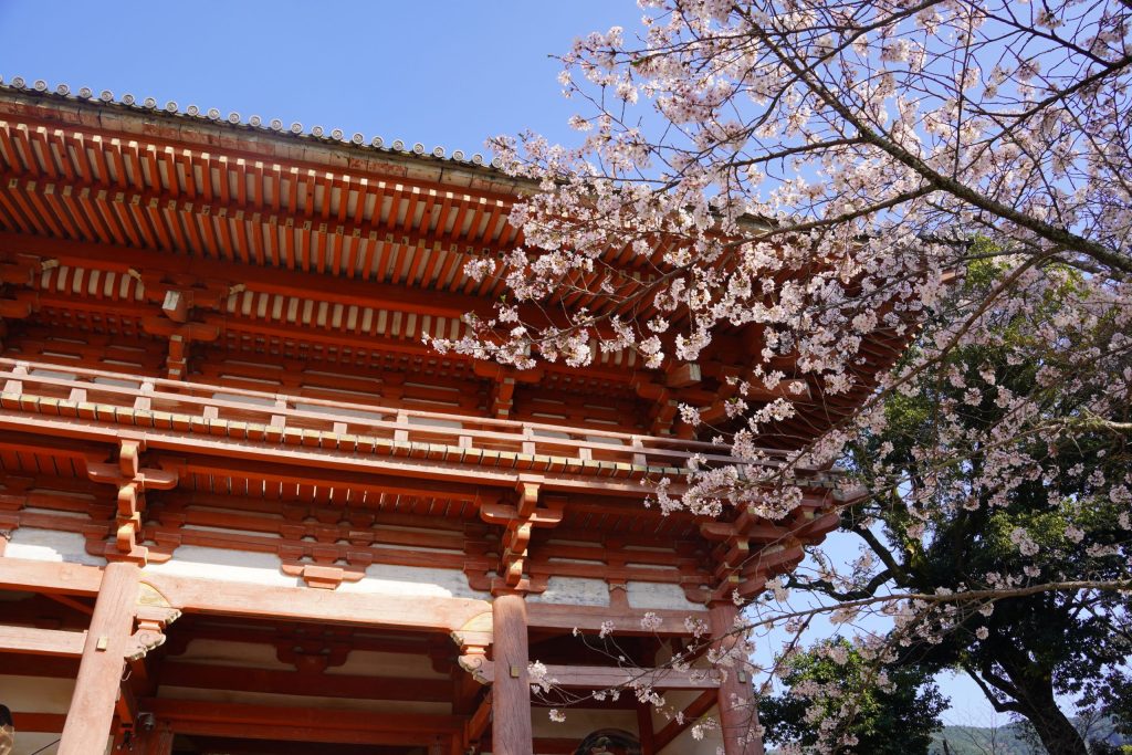 醍醐寺