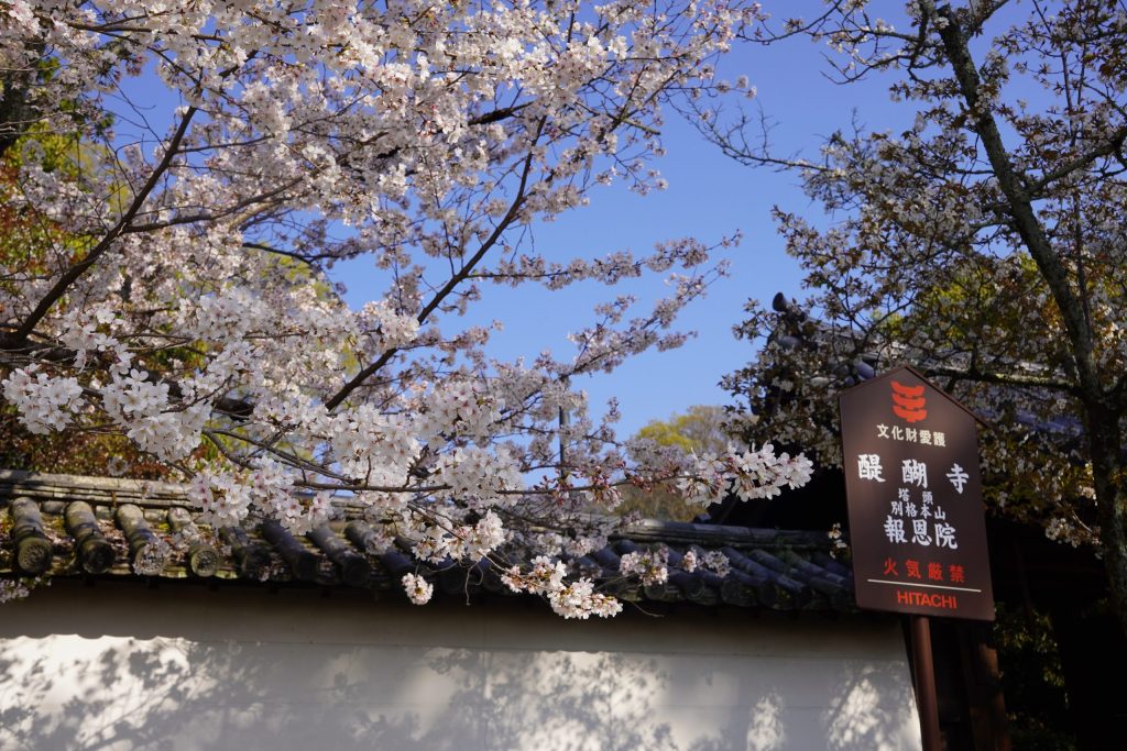 醍醐寺