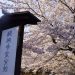 醍醐寺