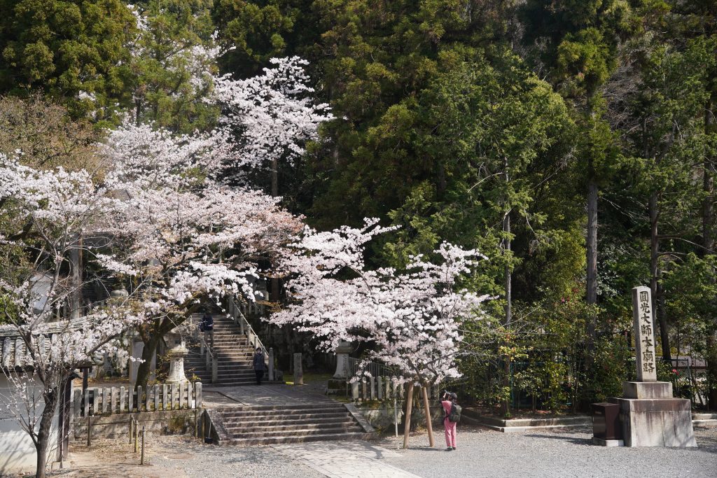 DSC01953