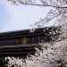 知恩院