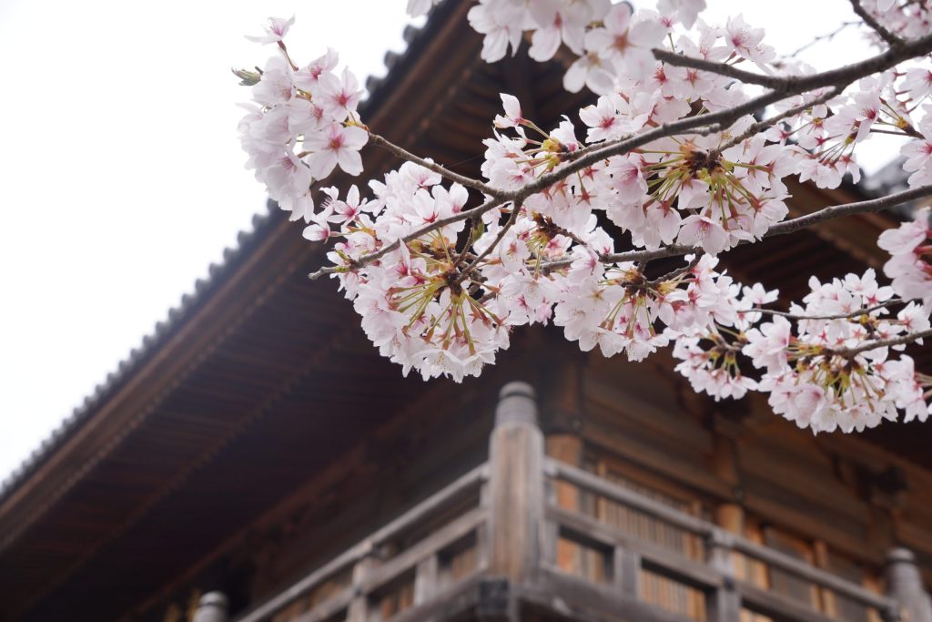 石山寺