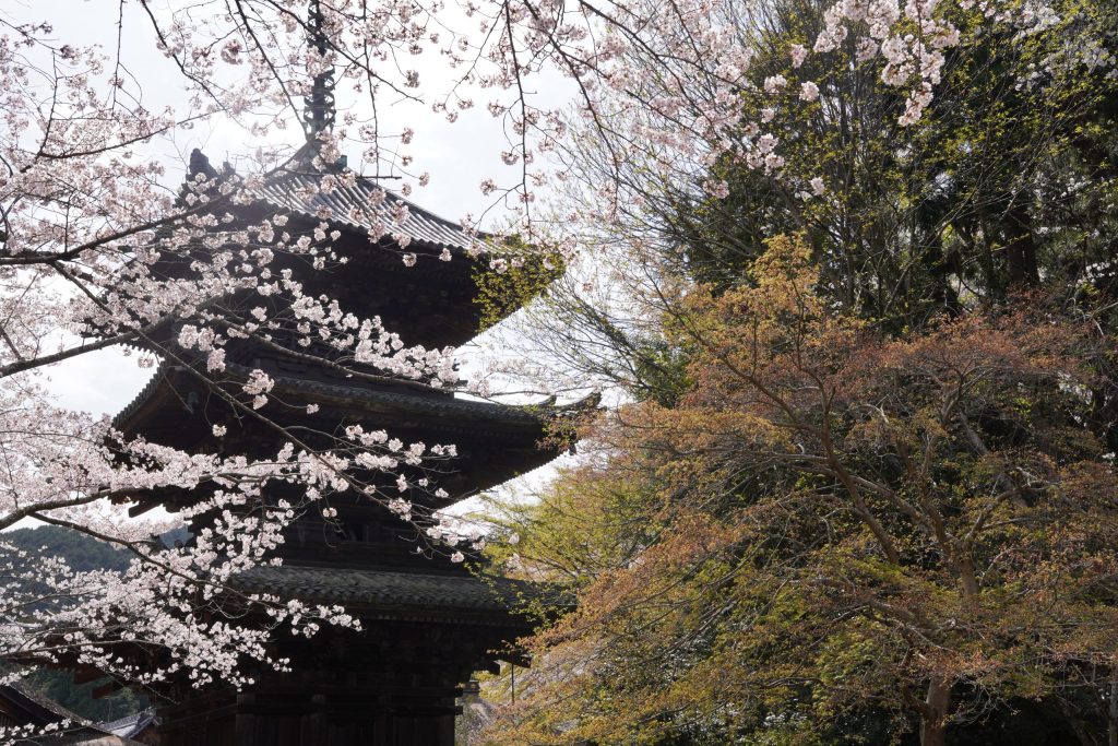三井寺