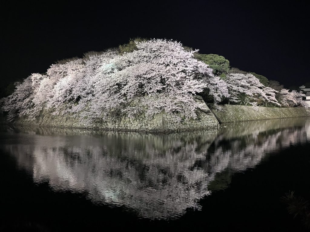 彥根城
