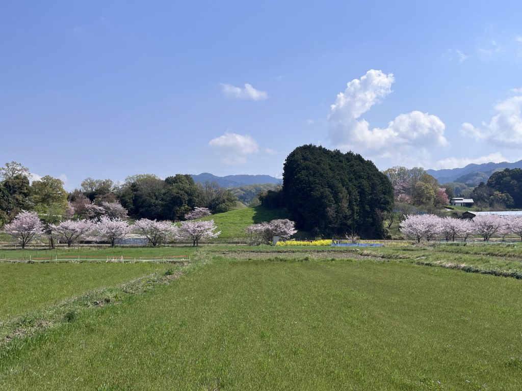 明日香村