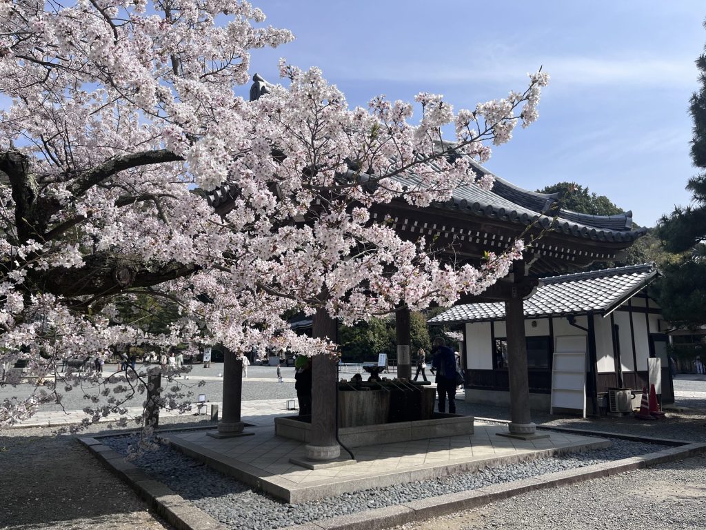知恩院