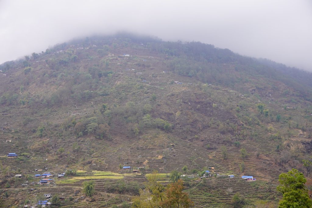 尼泊爾