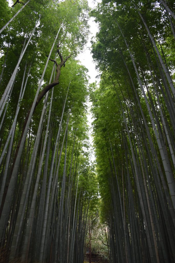 嵐山