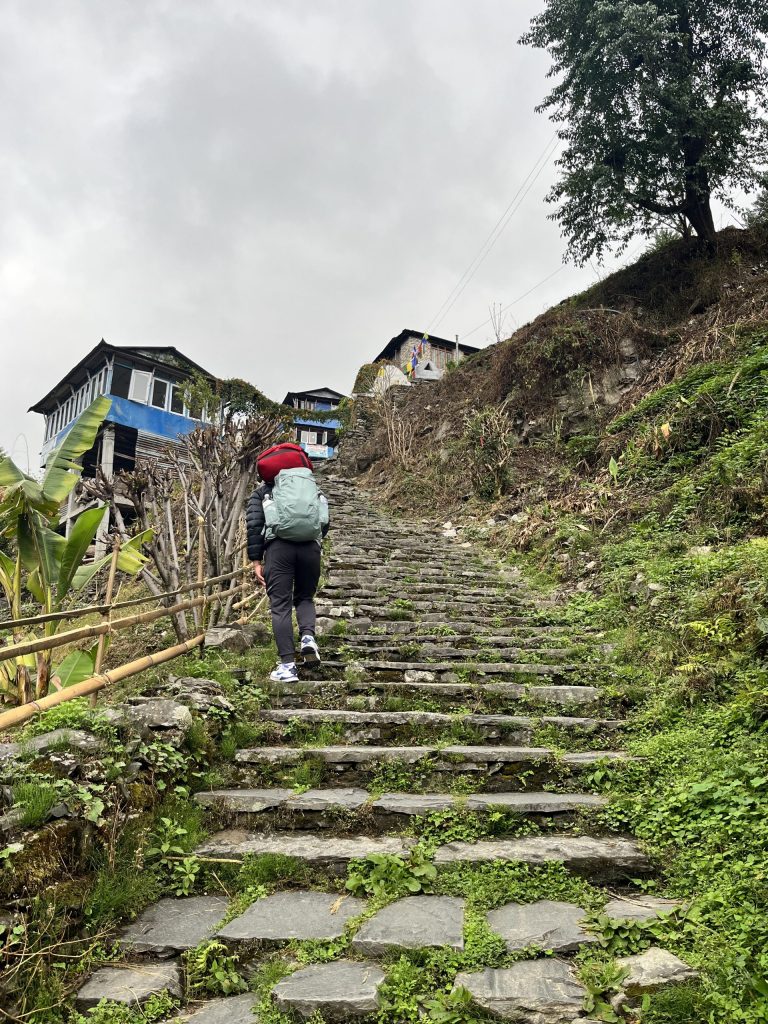 尼泊爾
