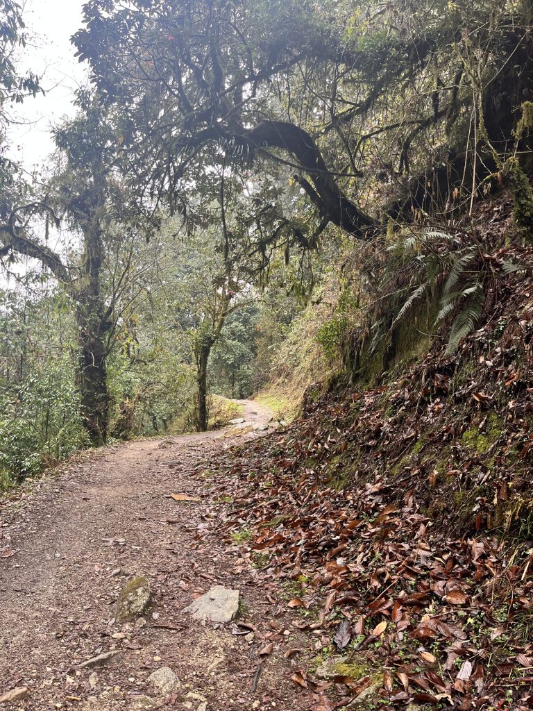 尼泊爾