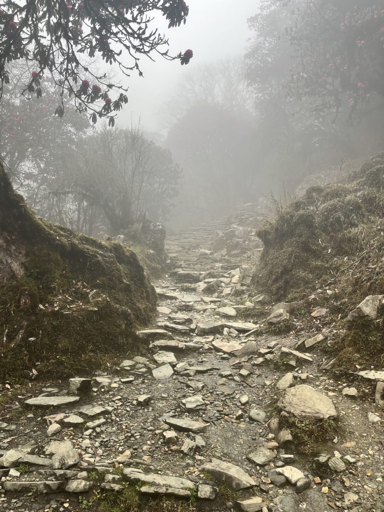 尼泊爾