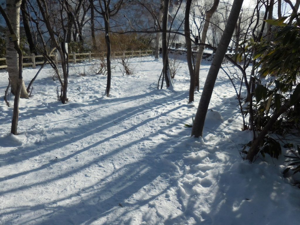 DSCN0365