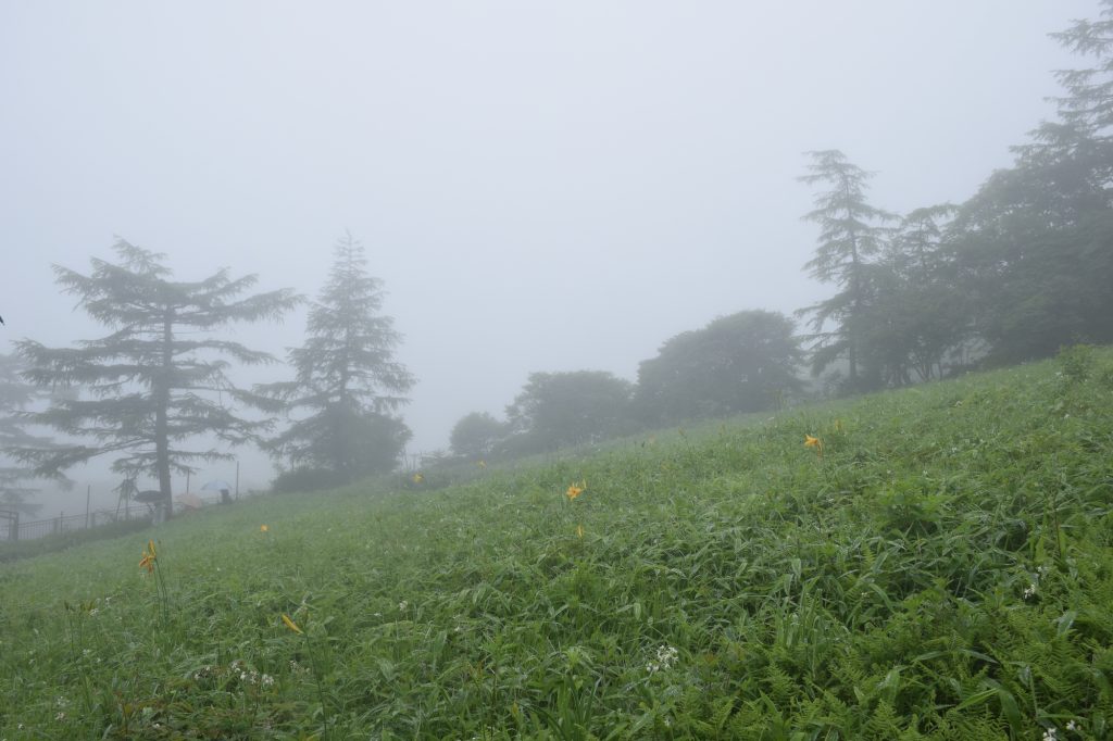 DSC 2542