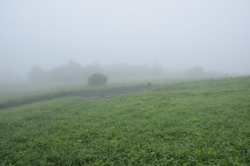 DSC 2586