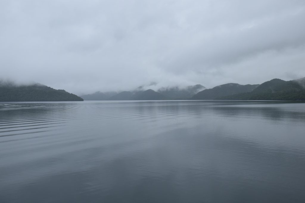 DSC 2733