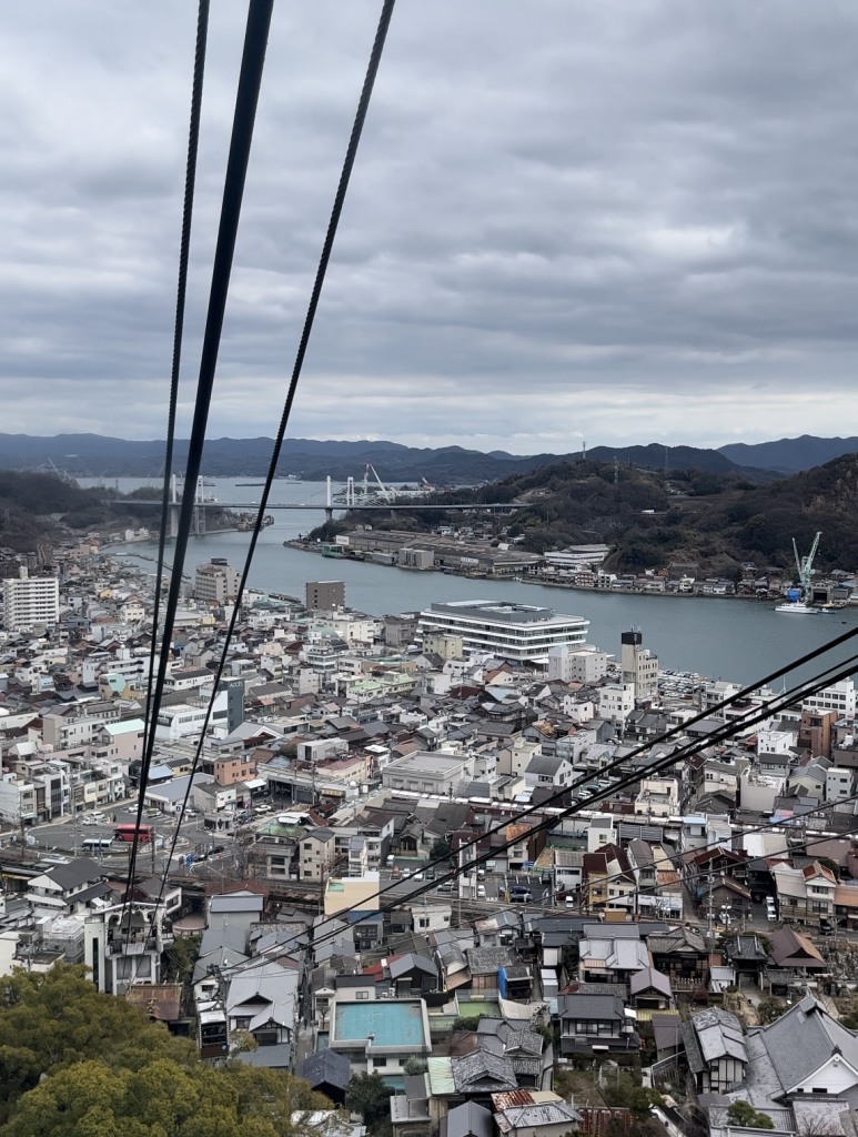 IMG 3519 e1725786910976