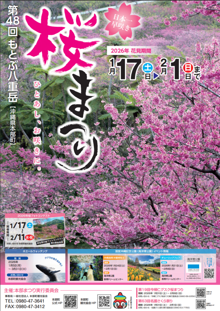 2026 01 17 motobu yaedake sakura matsuri