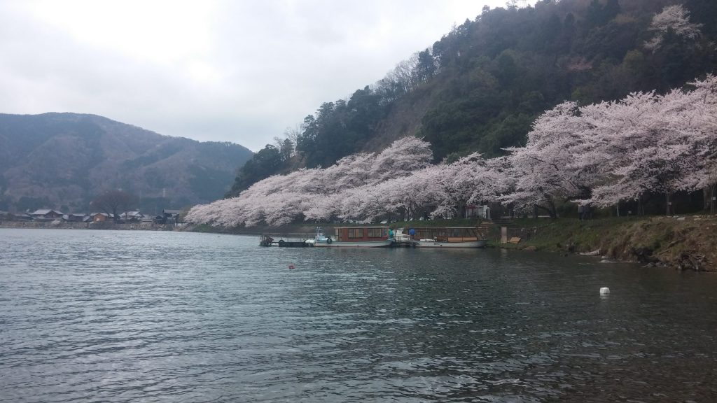 20150407 140612 scaled