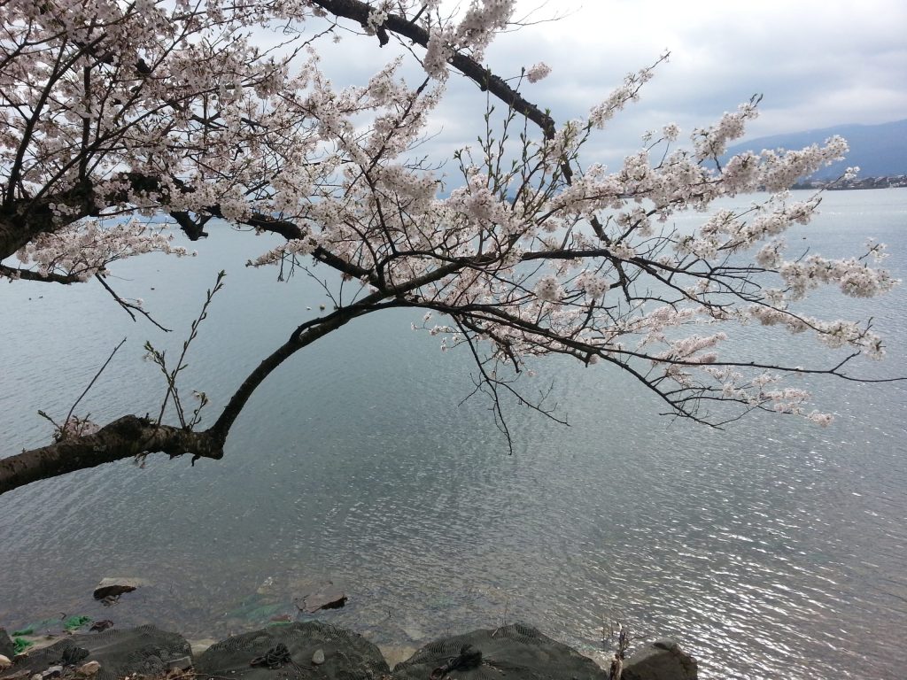 20150407 144823 scaled
