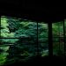 瑠璃光院