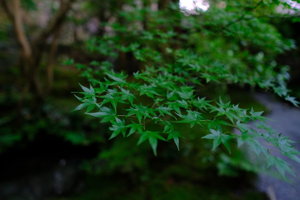 XT301598