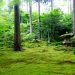 三千院