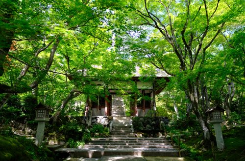 常寂光寺