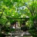 常寂光寺
