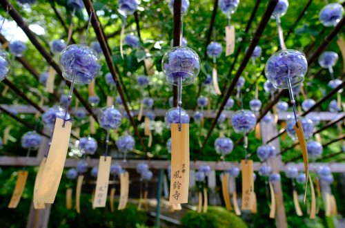 【京都深度遊2025】宇治隱世繡球花風鈴祭——「正壽院」 201 正壽院