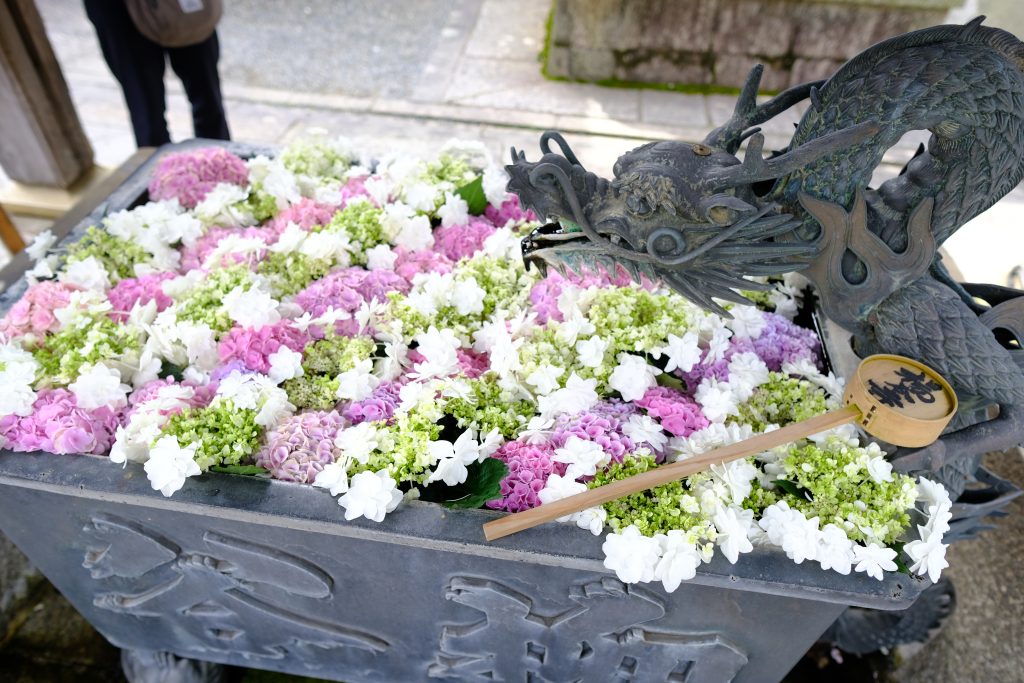 柳谷觀音 楊谷寺