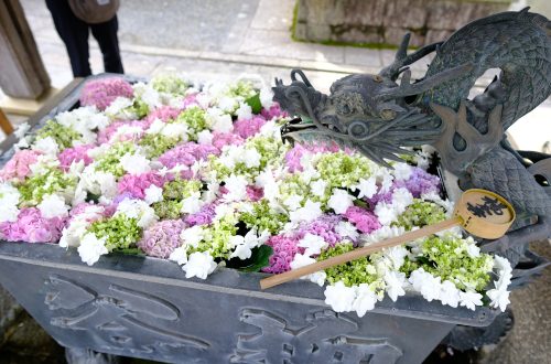 柳谷觀音 楊谷寺