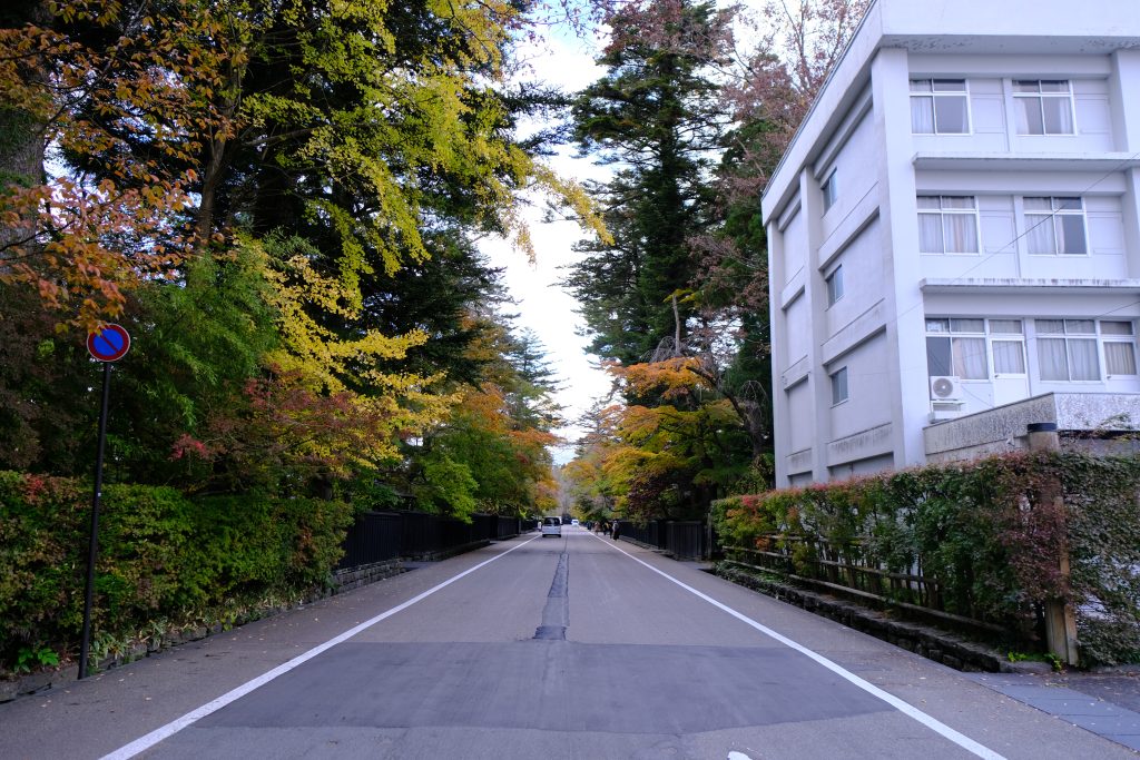 XT304255