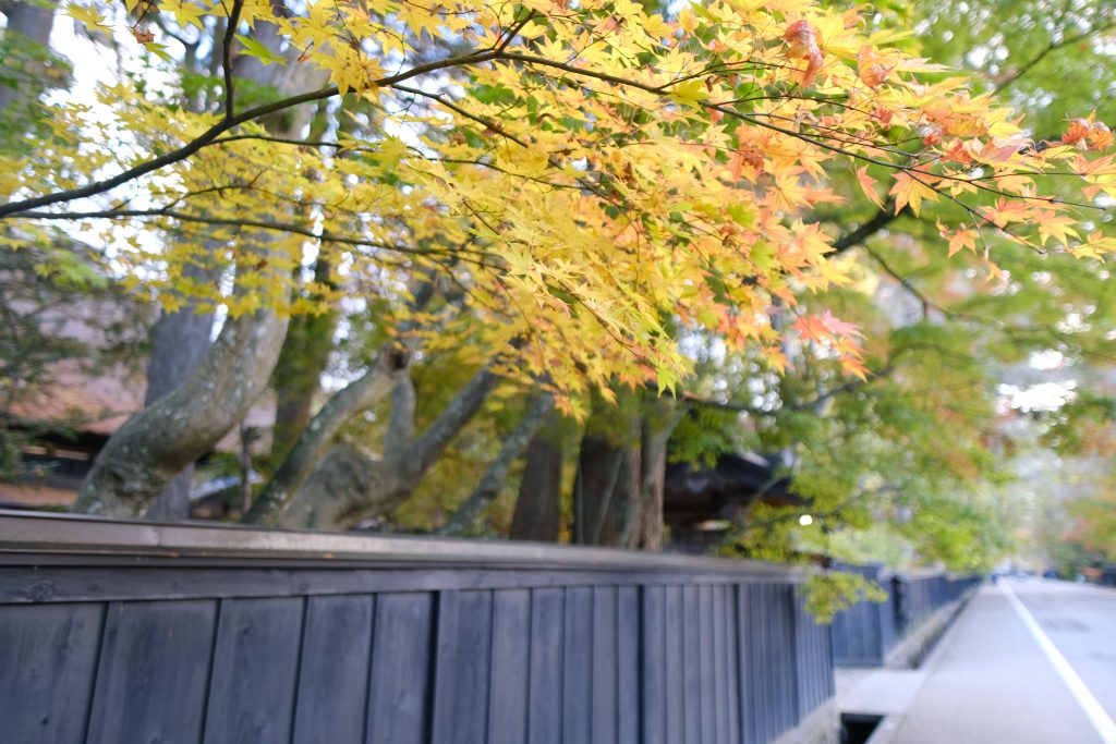 XT304403