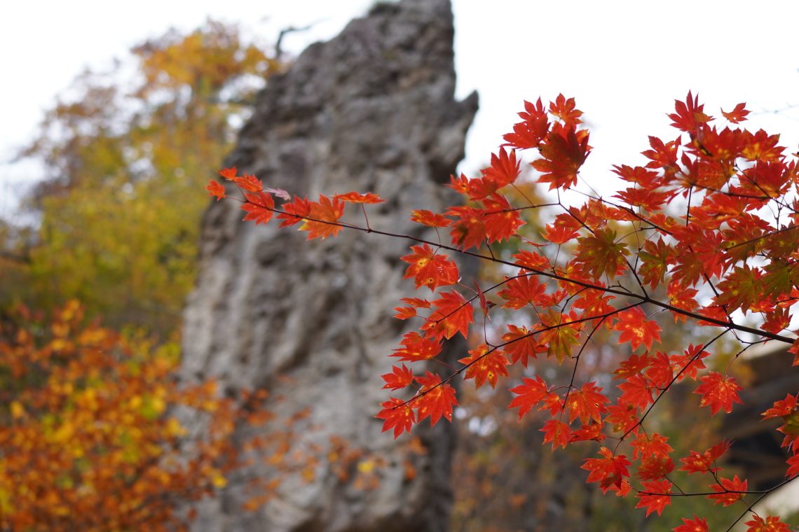 【2025日本東北紅葉旅】8日玩盡楓葉勝地|不自駕行程提案 31 紅葉