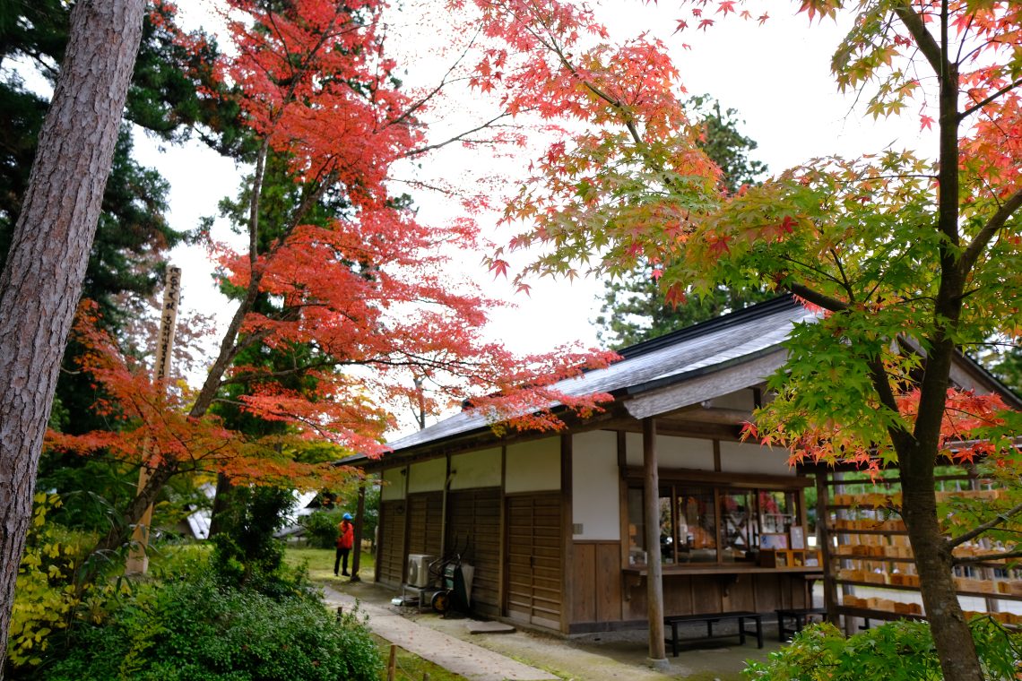 【岩手紅葉名所】平泉世界文化遺產「中尊寺」散策2025 112 中尊寺