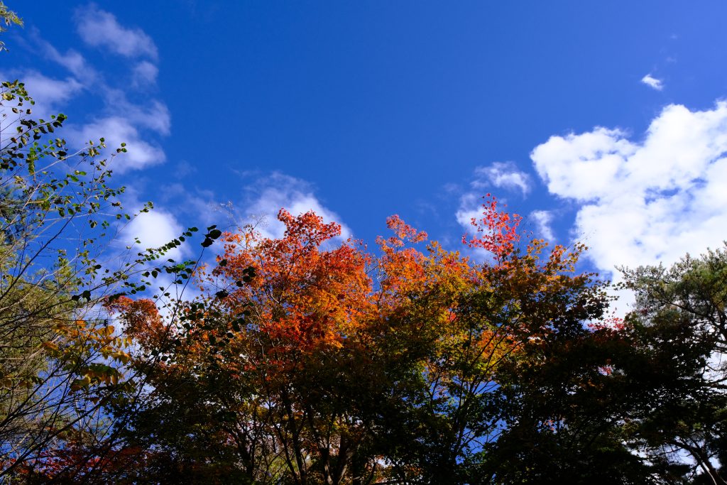 XT304920