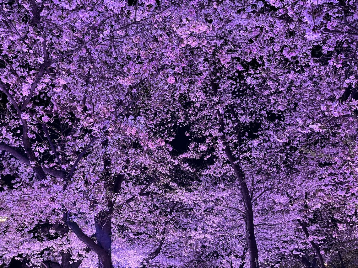 鶴舞公園