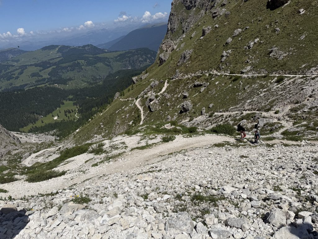 IMG 7311