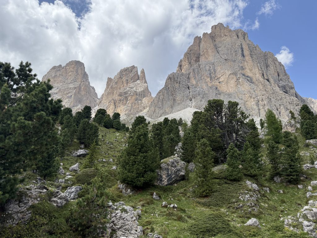 IMG 7673