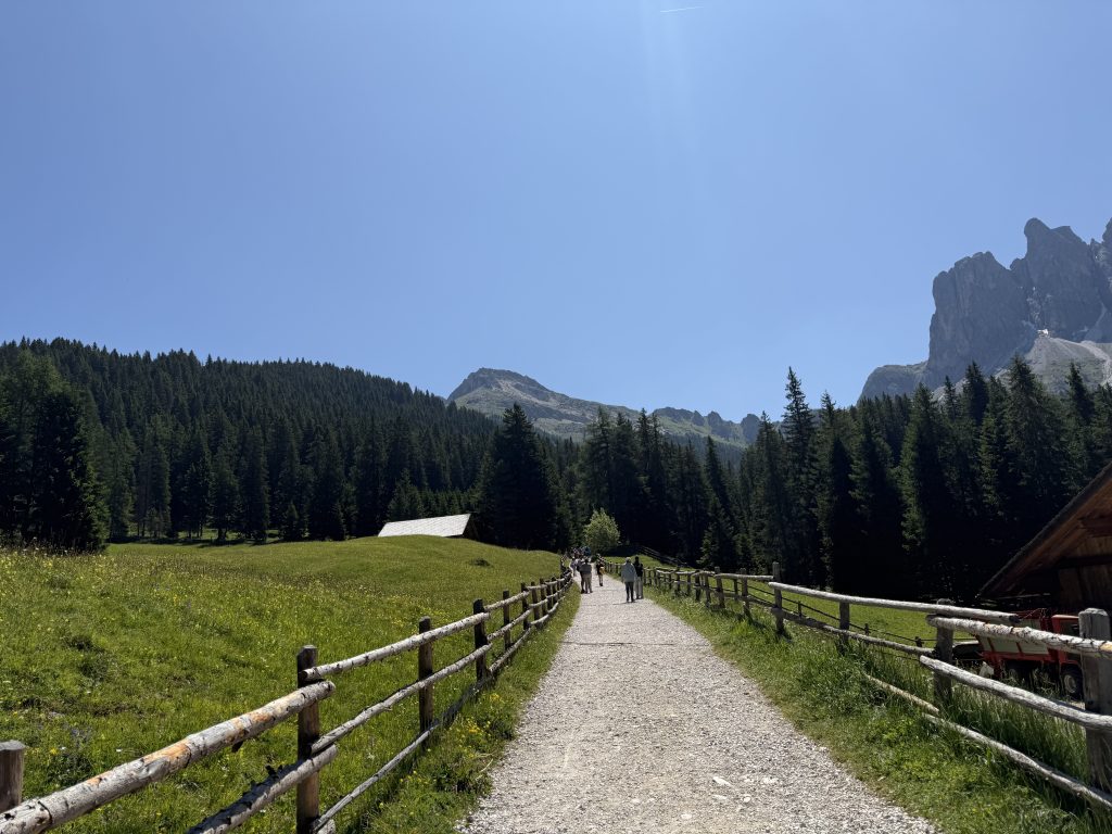 IMG 7811
