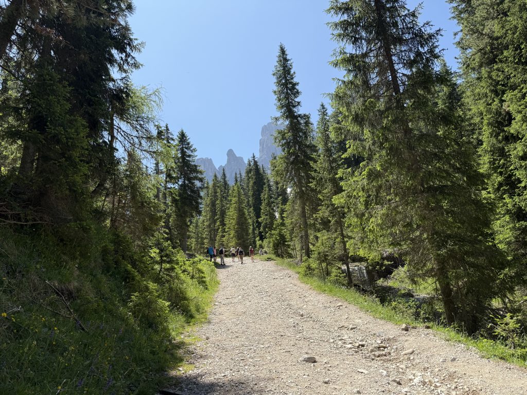 IMG 7816