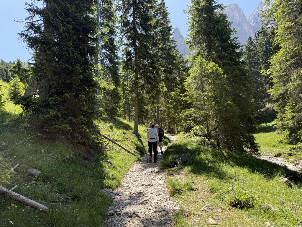 IMG 7825