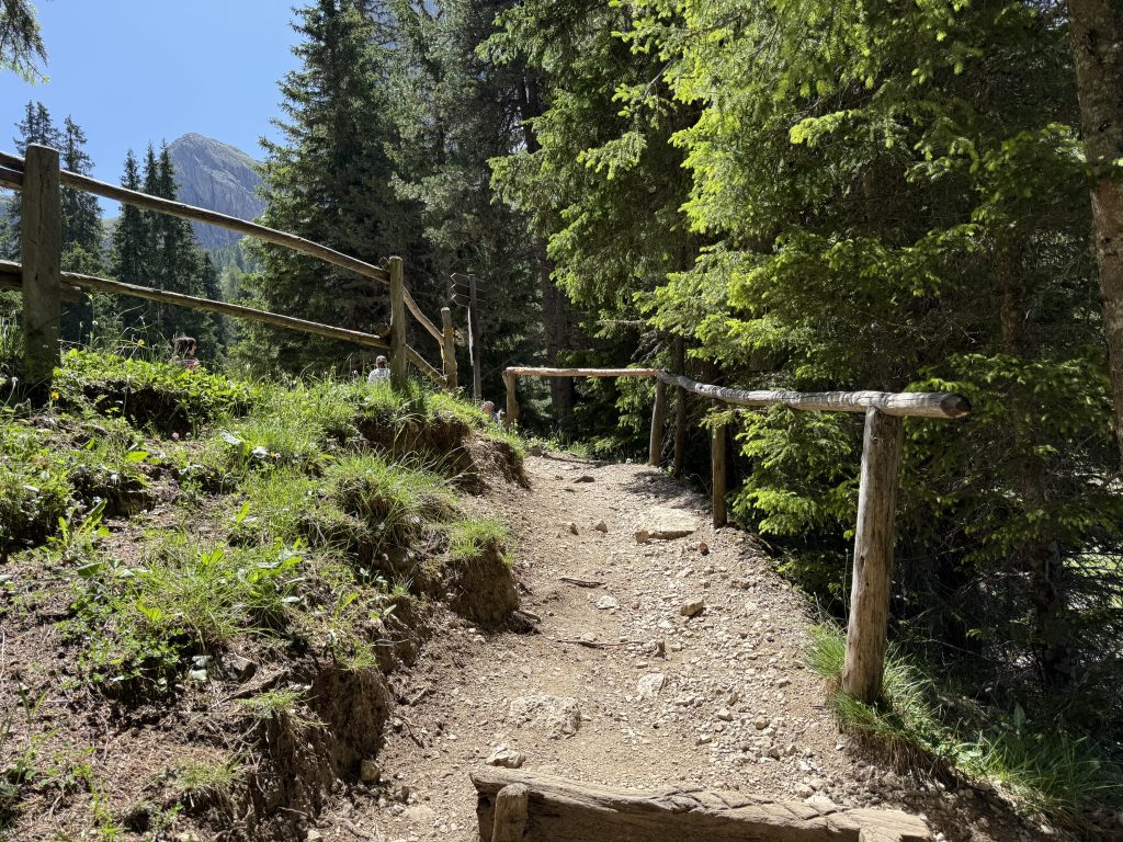 IMG 7829
